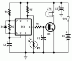 Nocturnal Animals Whisker-circuit diagram